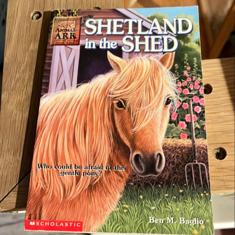 Shetland in the Shed