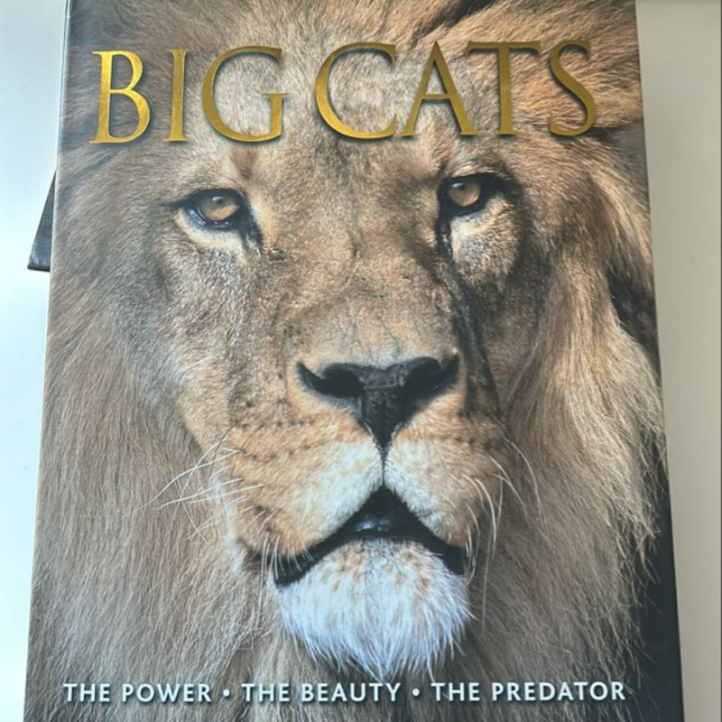 Big Cats