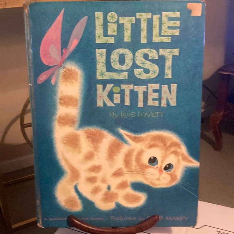 Little Lost Kitten