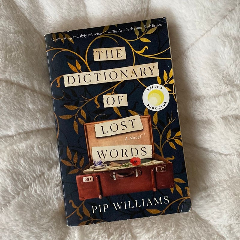 The Dictionary of Lost Words