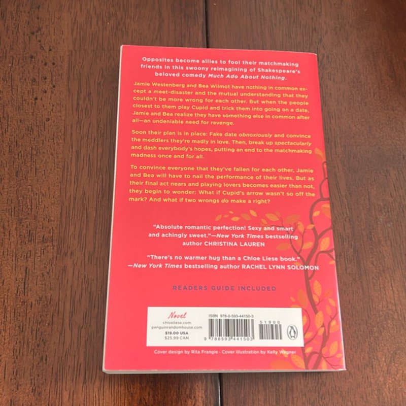 Two Wrongs Make a Right