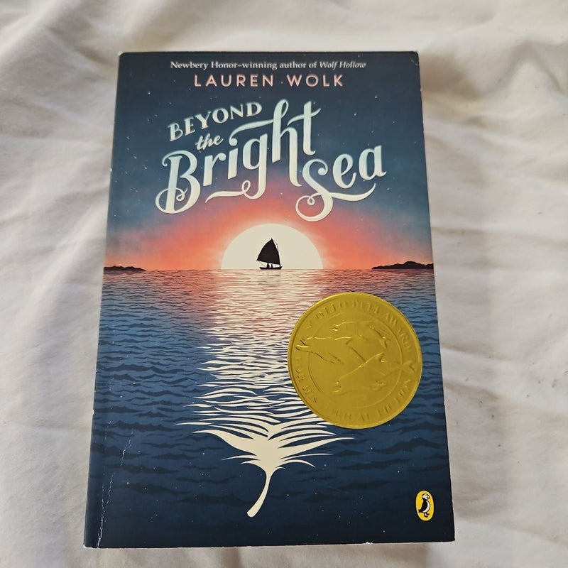 Beyond the Bright Sea