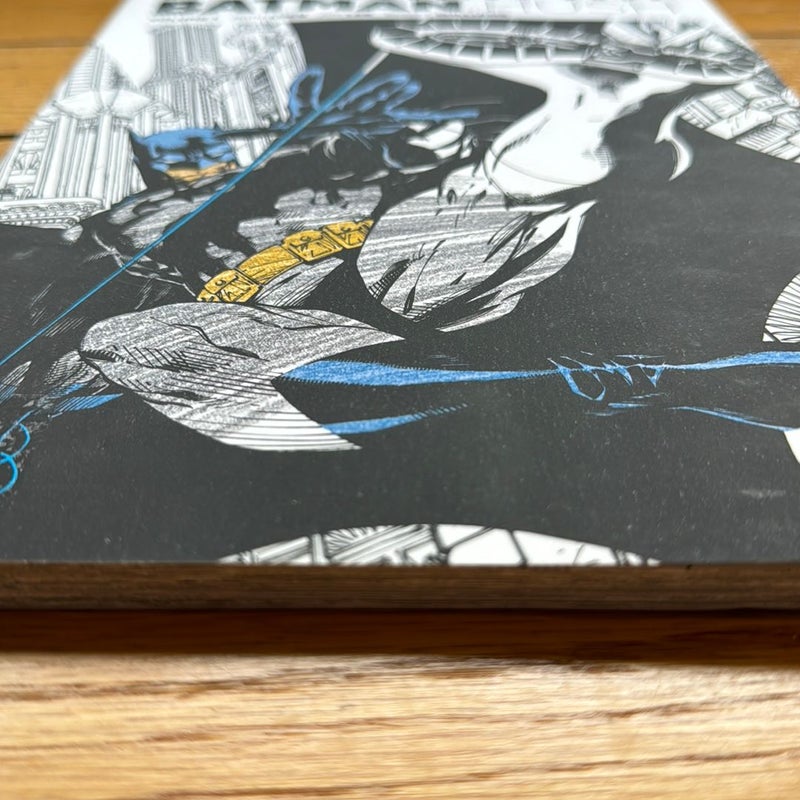 Coloring DC: Batman-Hush Vol. 1 by Jeph Loeb