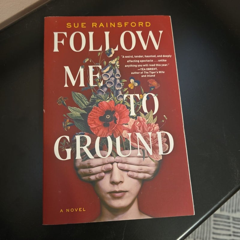 Follow Me to Ground