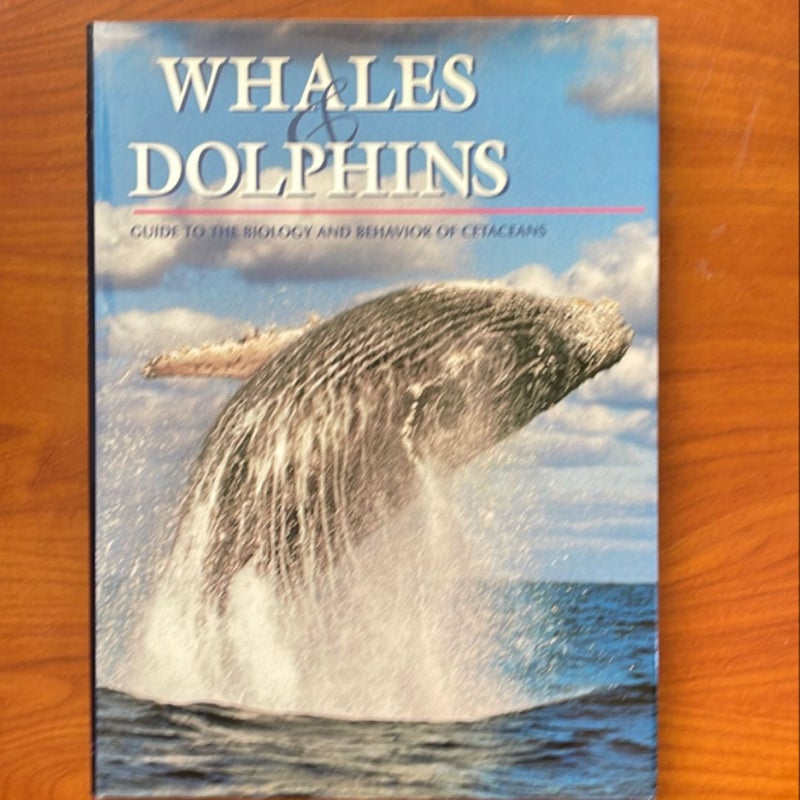 Whales and Dolphins