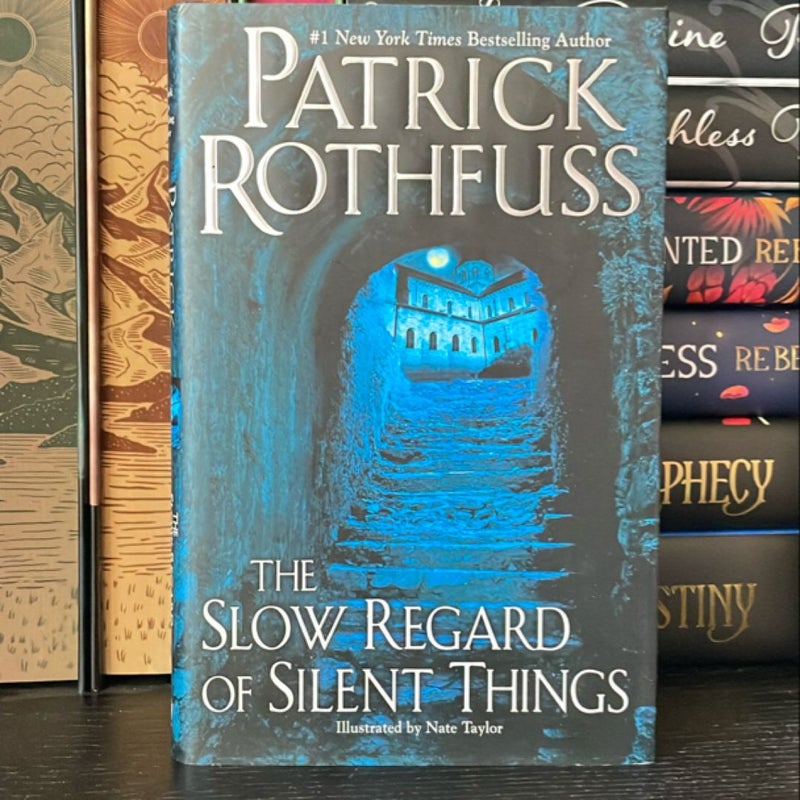 The Slow Regard of Silent Things