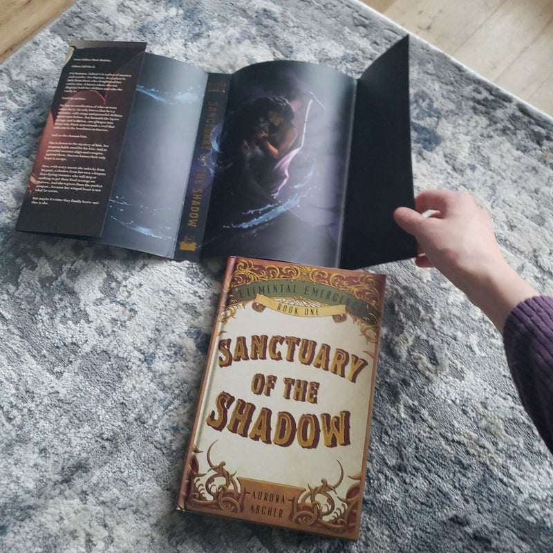 Bookish Box Sanctuary of the Shadow