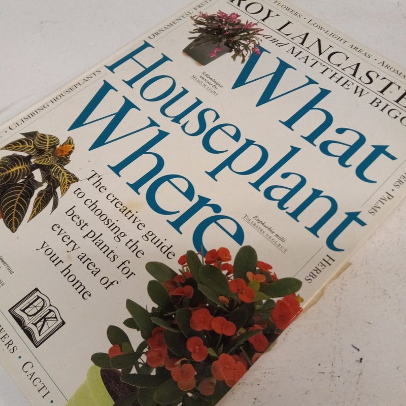 What Houseplant Where