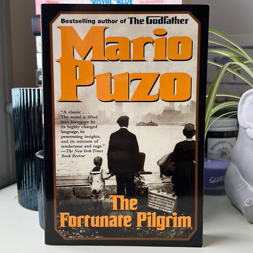 The Fortunate Pilgrim