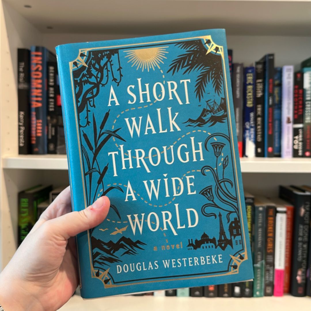 A Short Walk Through a Wide World