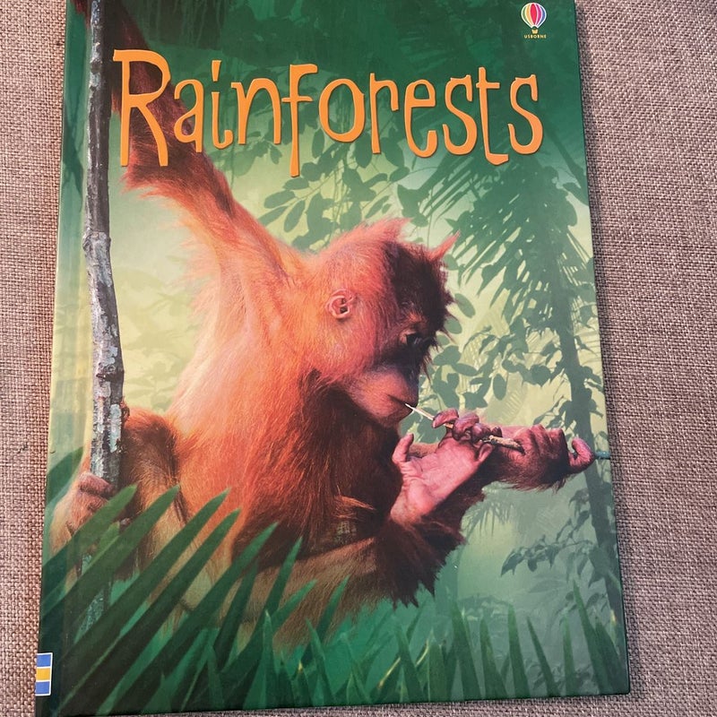 Rainforest (Level 2) - Internet Referenced