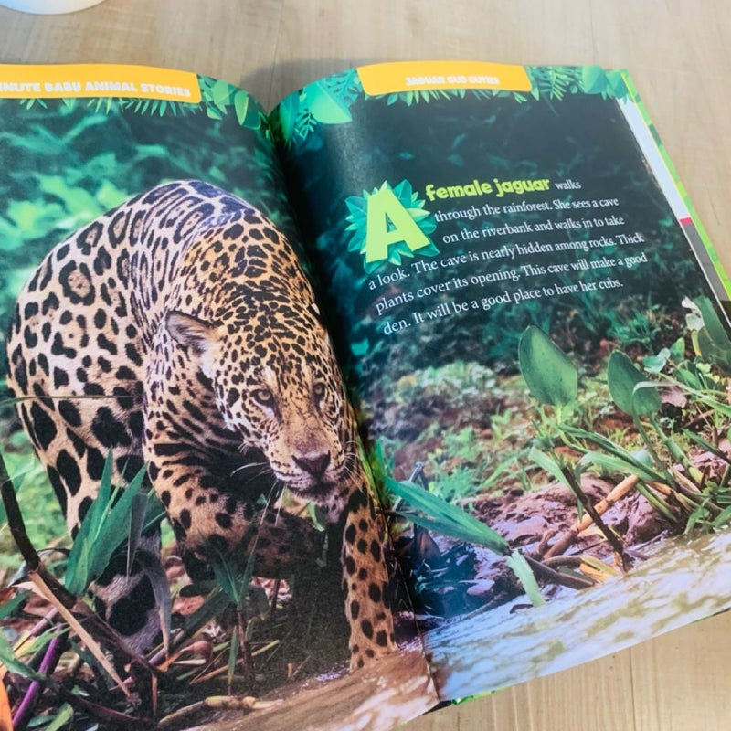 National Geographic Kids 5-Minute Baby Animal Stories