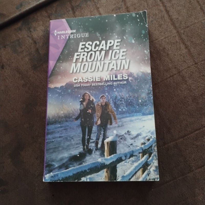 Escape from Ice Mountain
