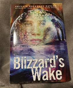 Blizzard’s Wake
