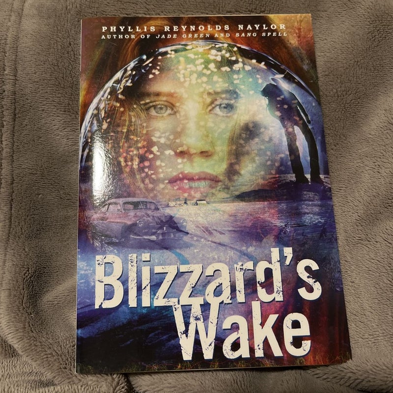 Blizzard’s Wake
