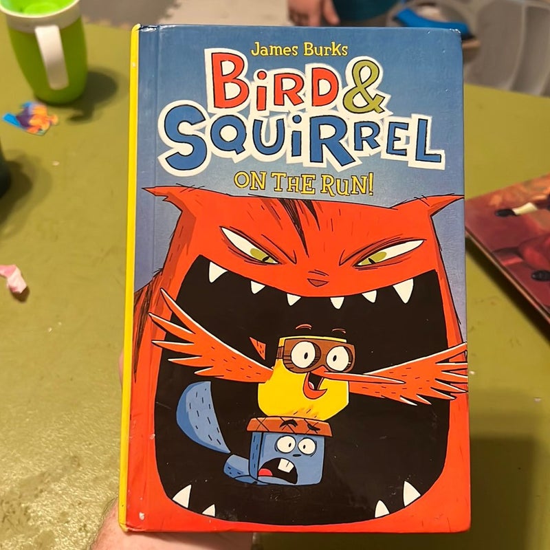 Bird and Squirrel on the Run!