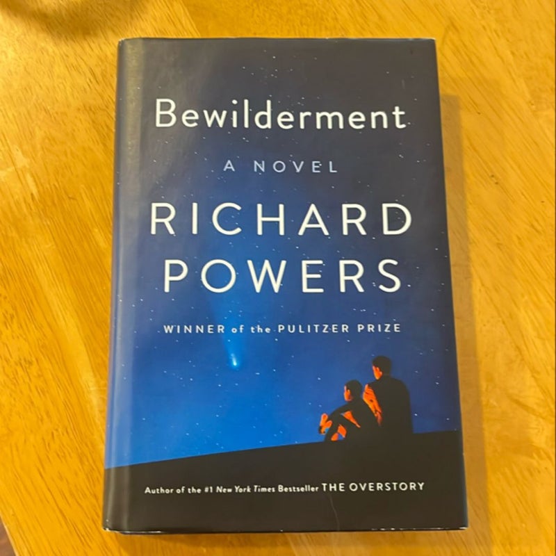 Bewilderment
