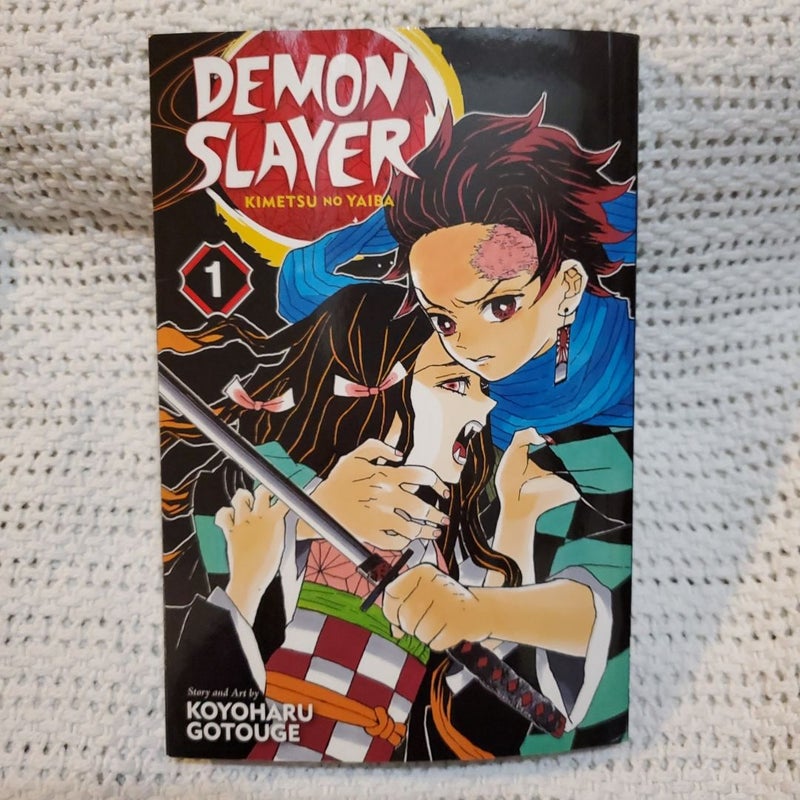 Demon Slayer: Kimetsu No Yaiba, Vol. 1