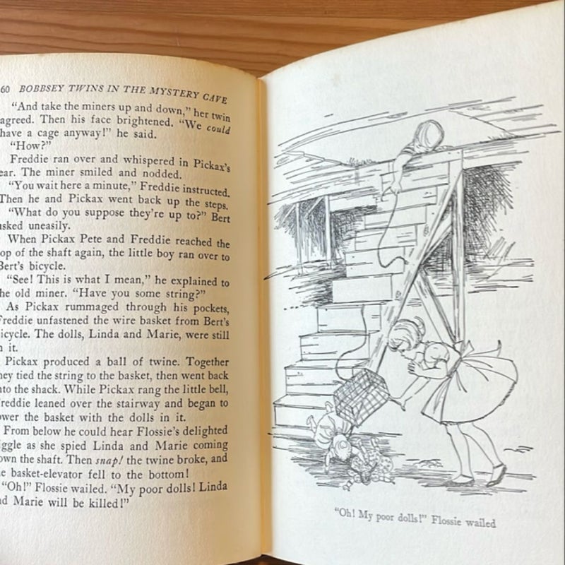 The Bobbsey Twins in the Mystery Cave