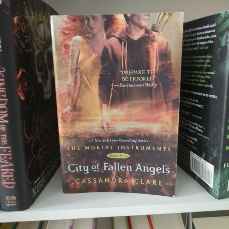 City of Fallen Angels