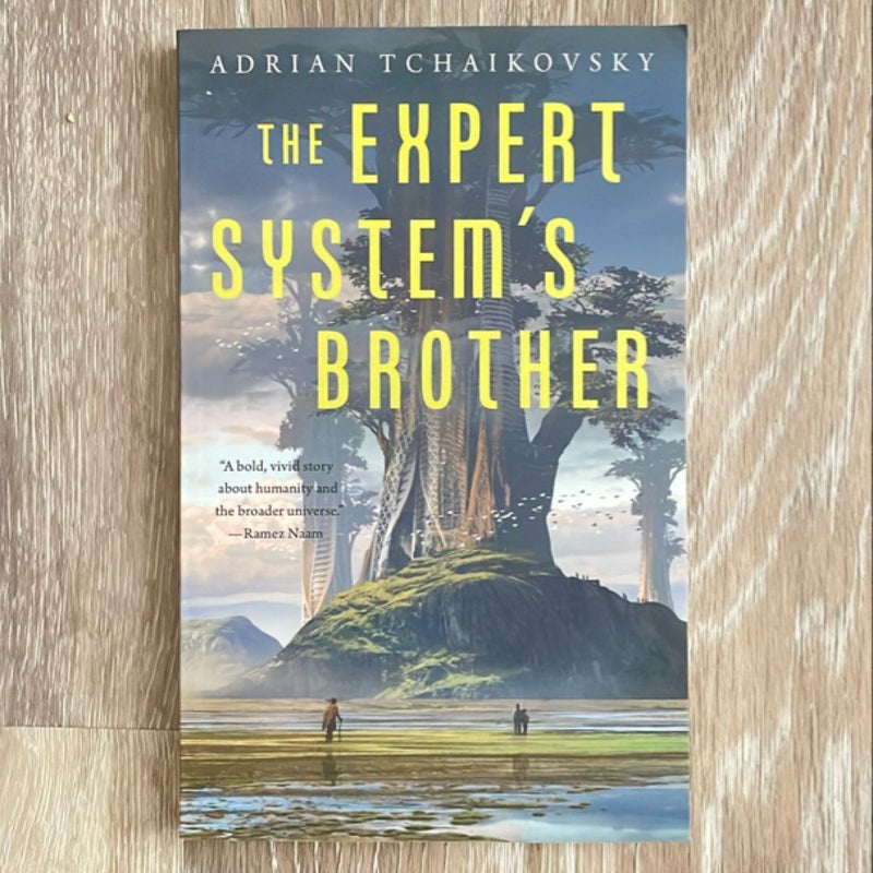 The Expert System's Brother