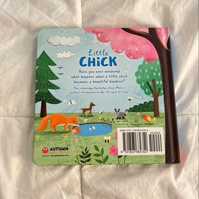 Nature Stories: Little Chick-Discover an Amazing Story from the Natural World