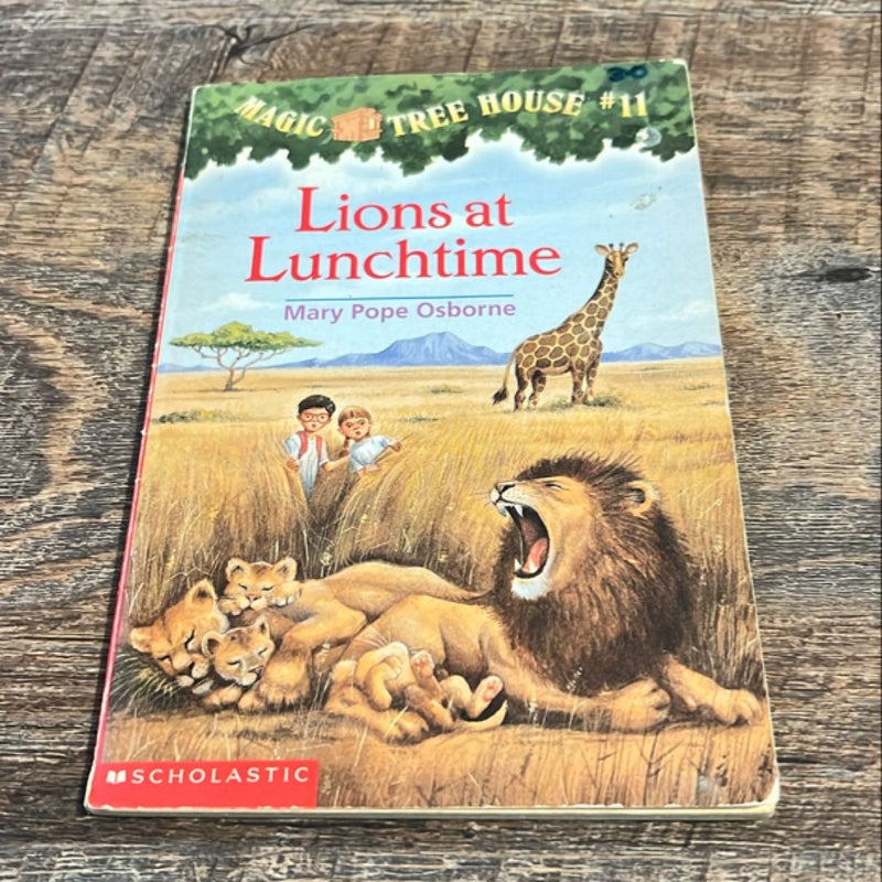 Lions at Lunchtime