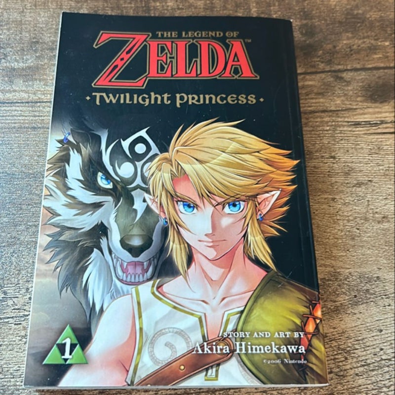 The Legend of Zelda: Twilight Princess, Vol. 1