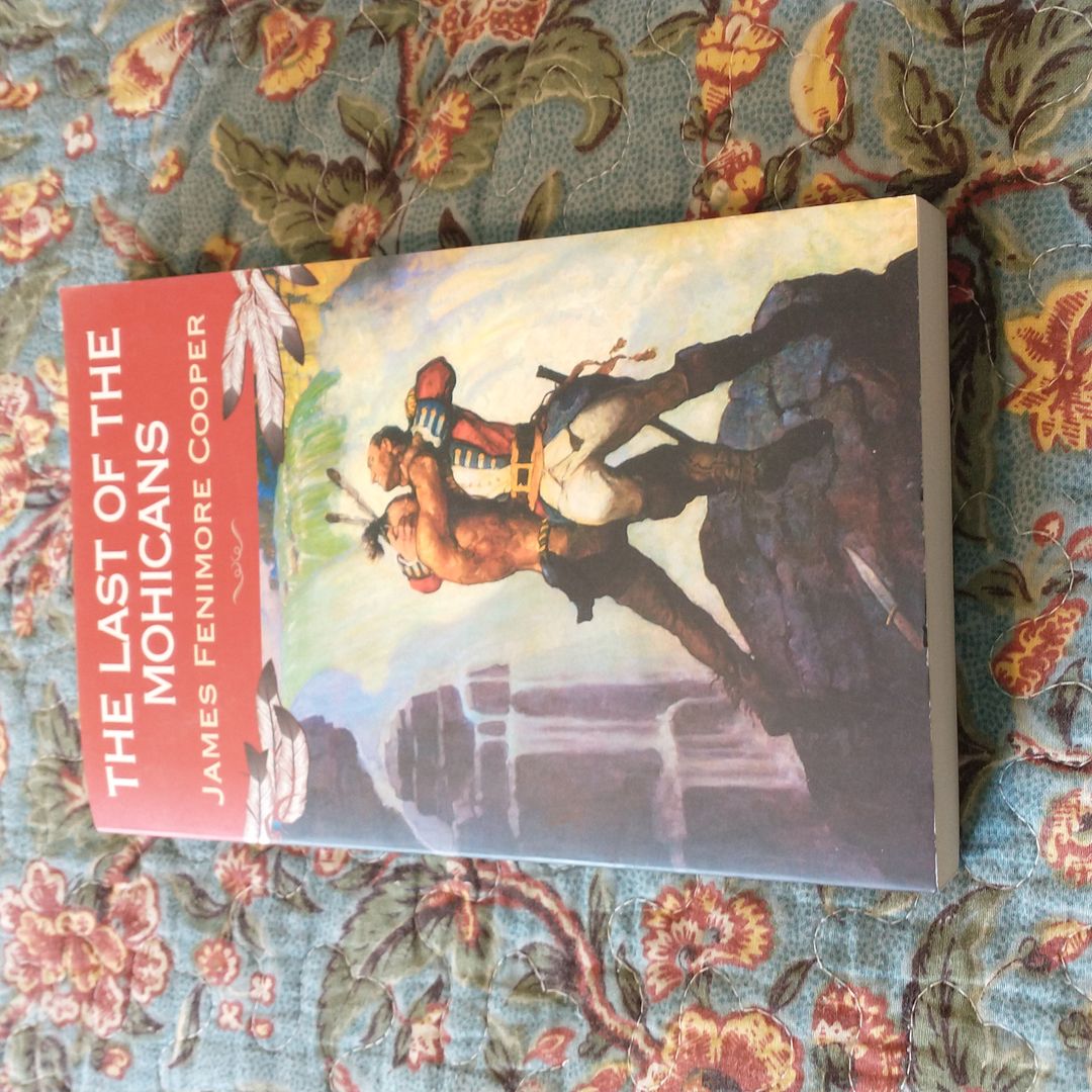 The Last of the Mohicans