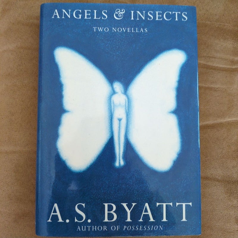 Angels and Insects