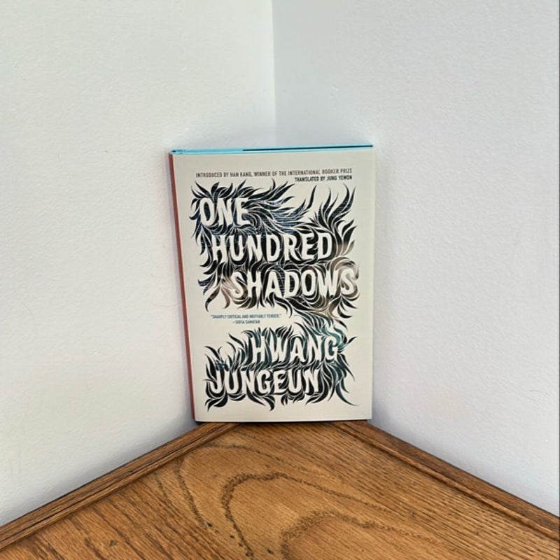 One Hundred Shadows