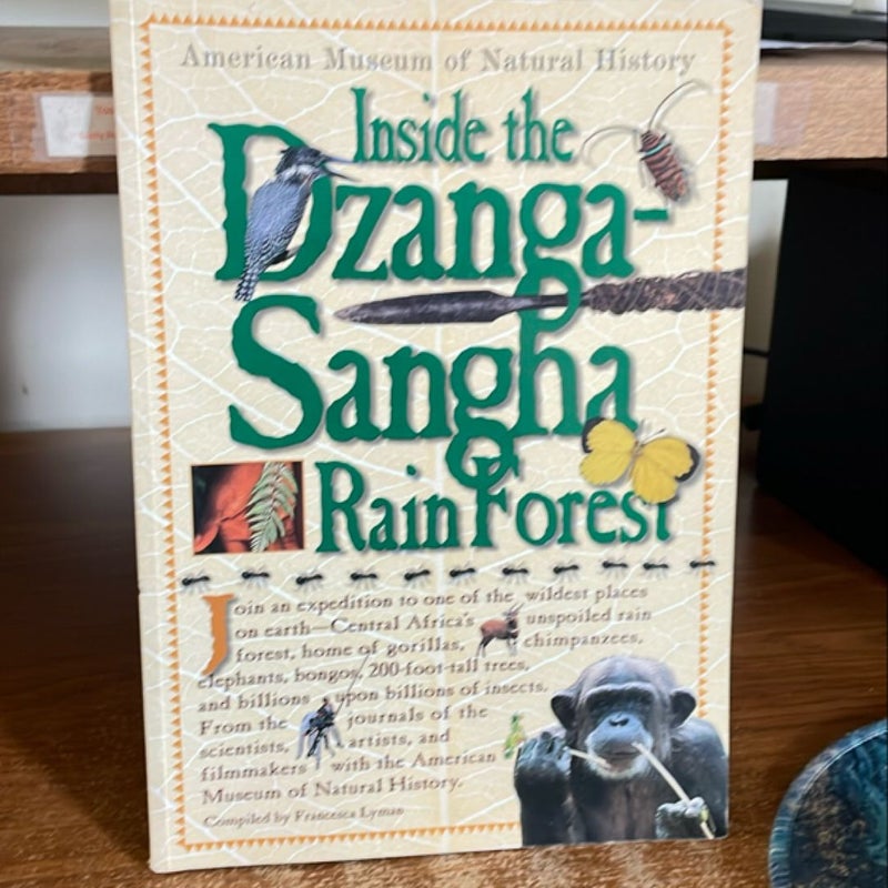 Inside the Dzanga Sangha Rain Forest