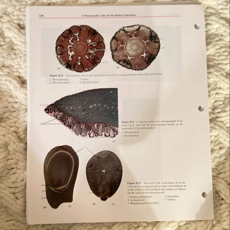 A Photographic Atlas for the Botany Laboratory