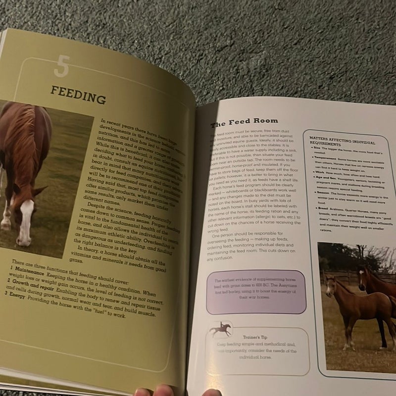 The Horse Lover's Bible