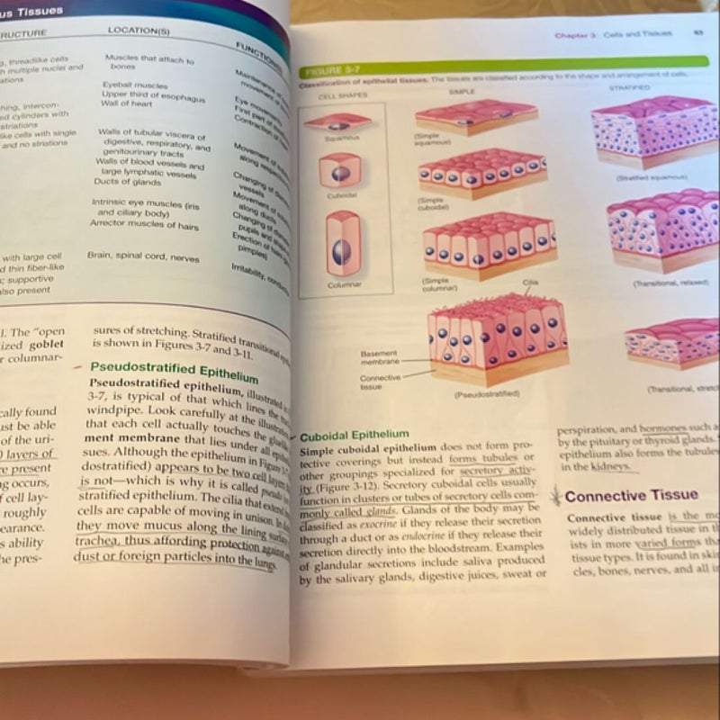 Structure and Function of the Body - Softcover