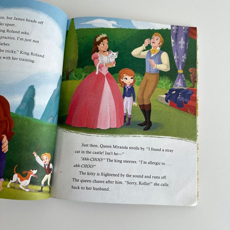 Sofia the First: When You Wish Upon a Well, Little Golden Book