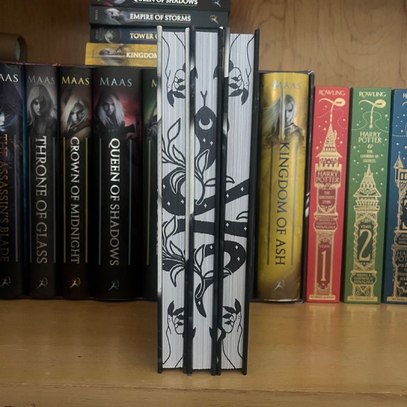 kingdom of shadows midnight whispers