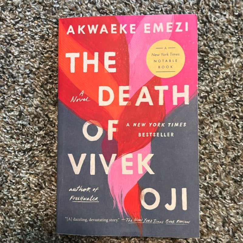 The Death of Vivek Oji