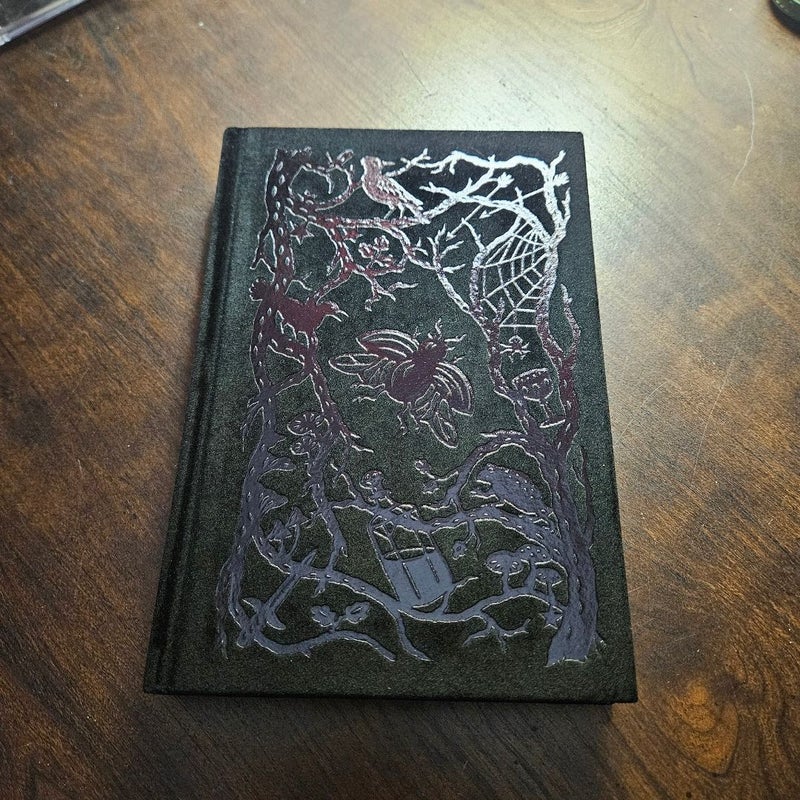 The Cruel Prince: Collector's Edition