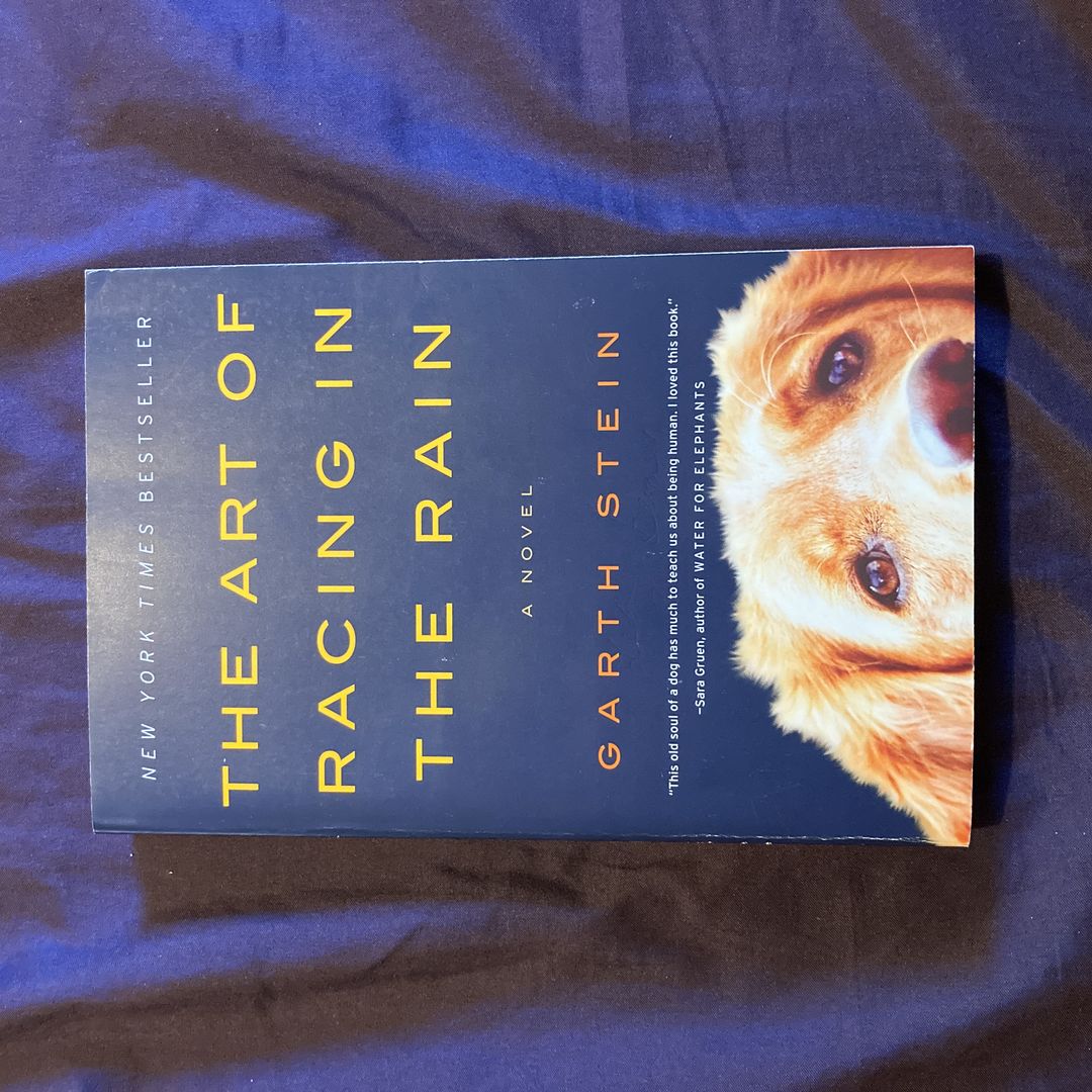 The Art of Racing in the Rain