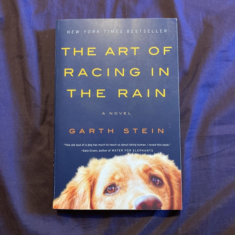 The Art of Racing in the Rain