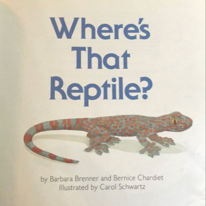 Where’s that Reptile ?