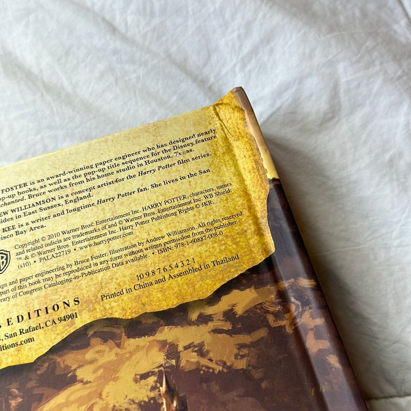 Harry Potter: a Pop-Up Book