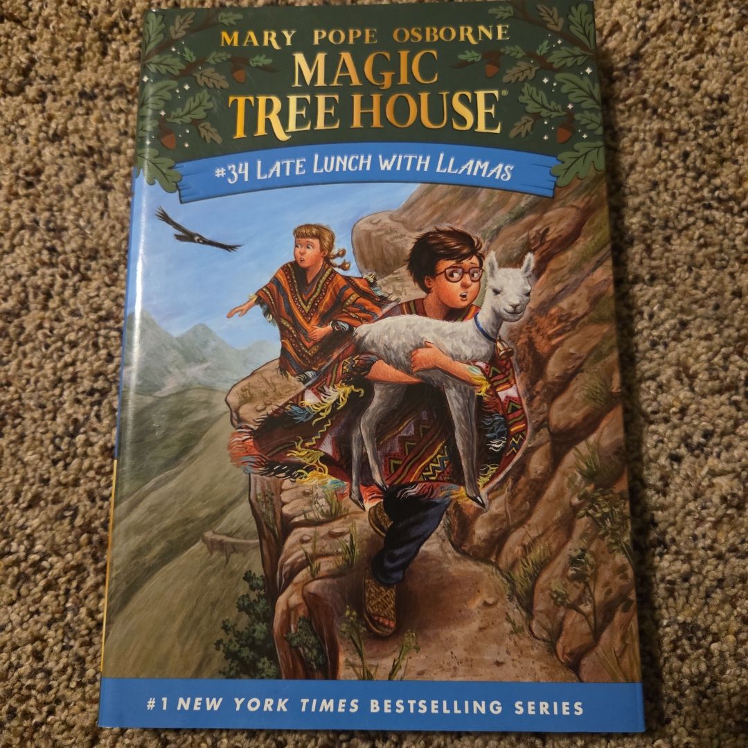 Late Lunch with Llamas