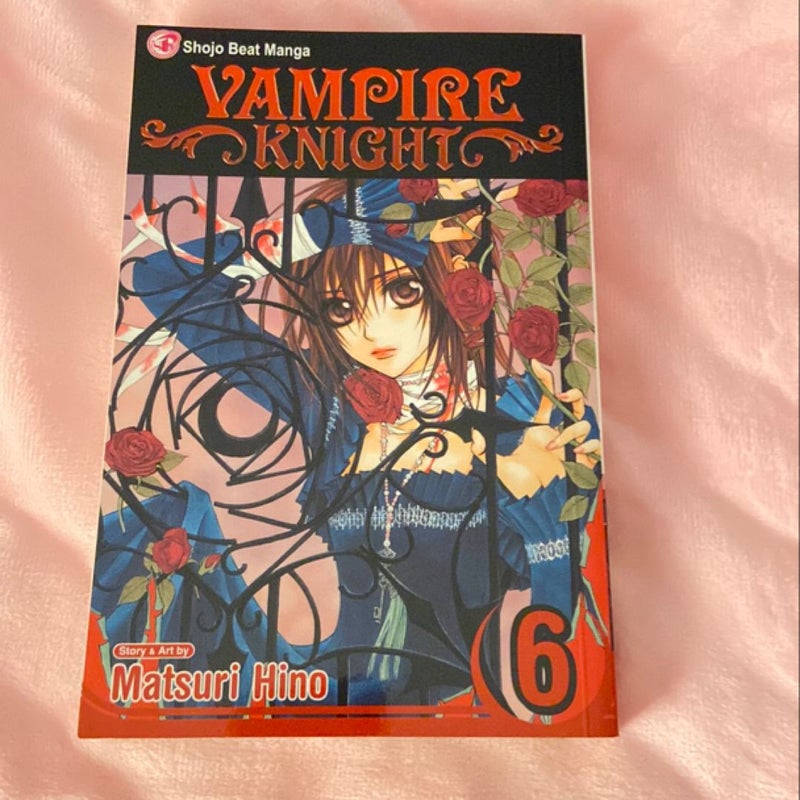 Vampire Knight Vol. 6