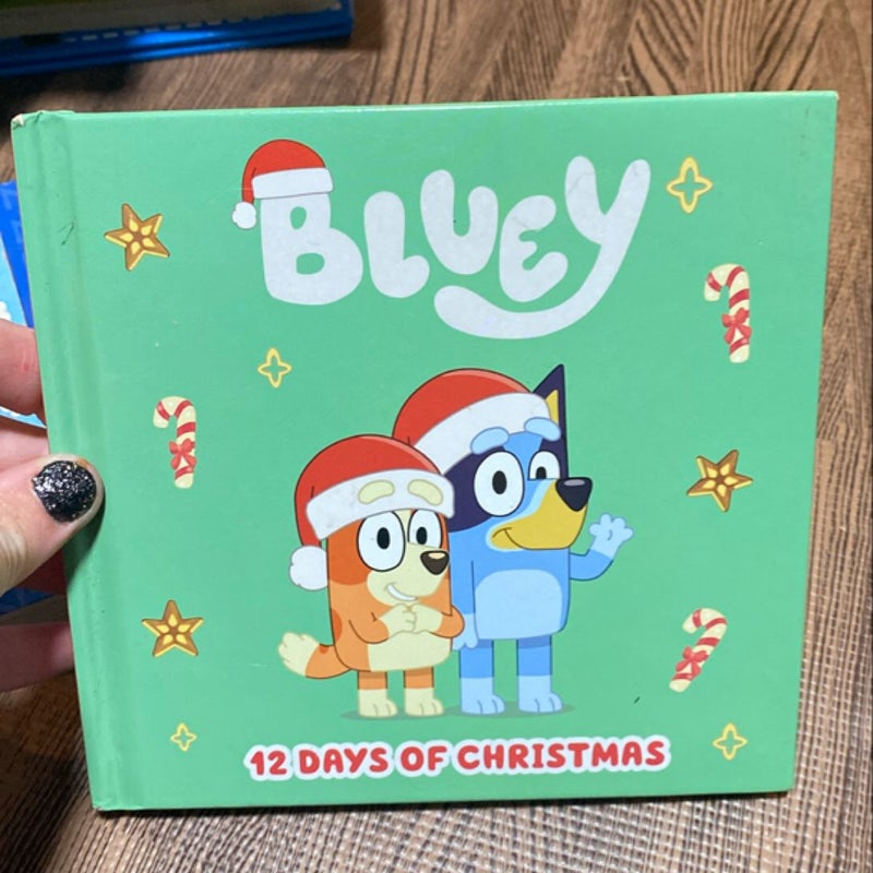 Bluey: 12 Days of Christmas