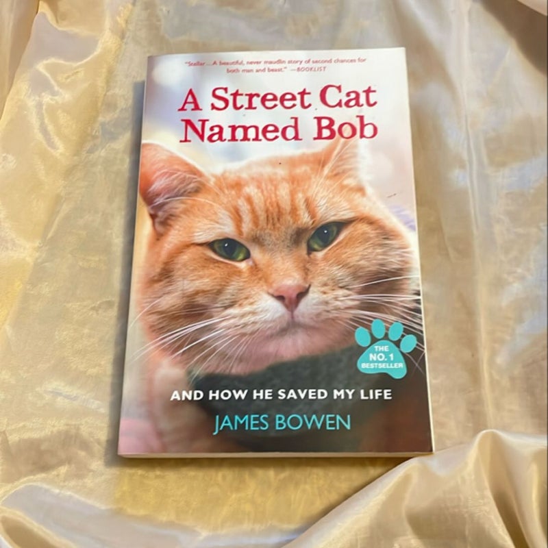 A Street Cat Named Bob