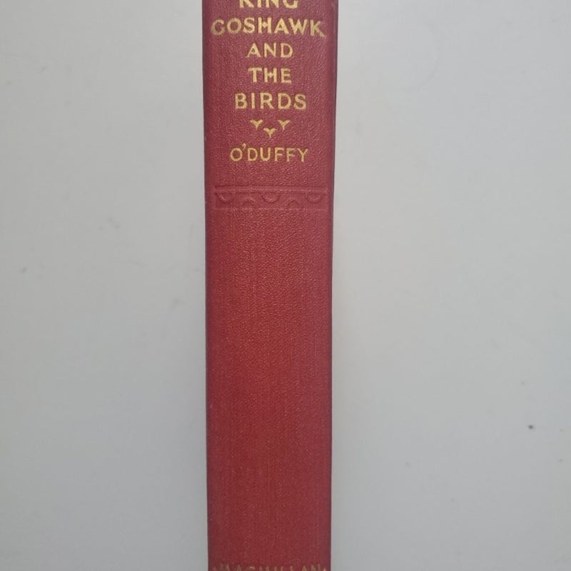 King goshawk and the birds