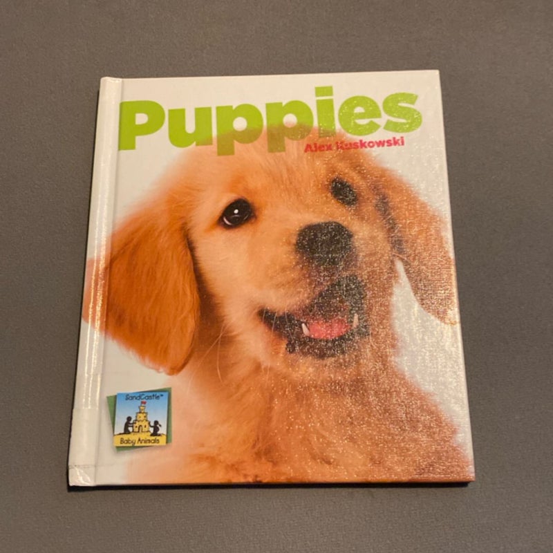 Puppies