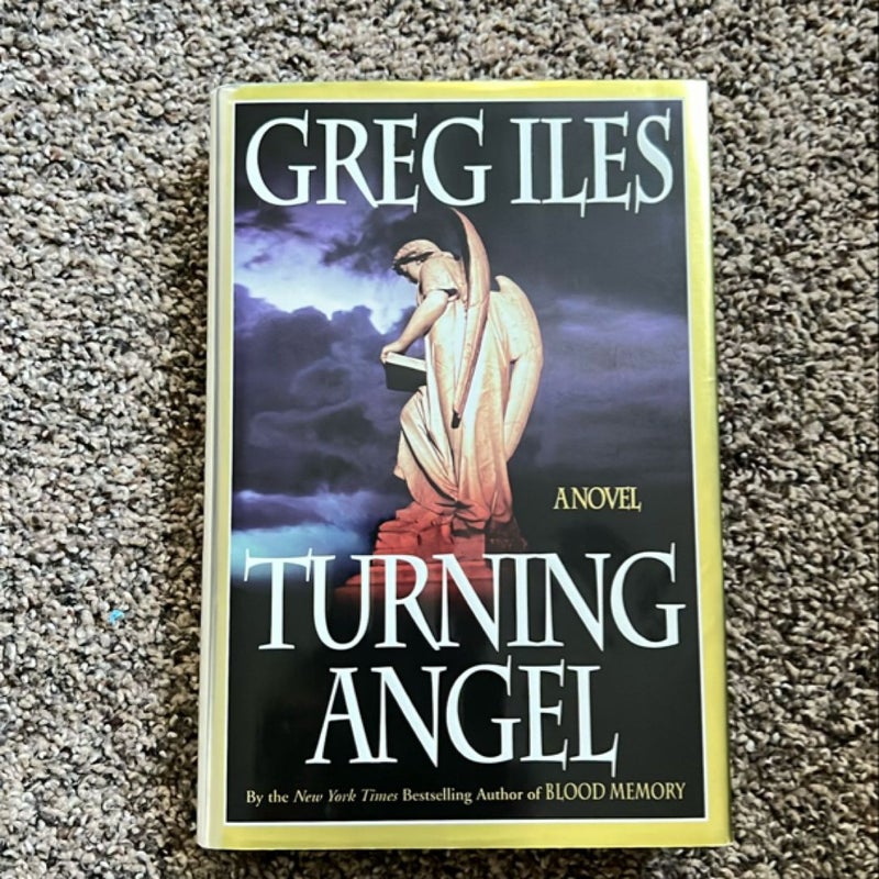 Turning Angel